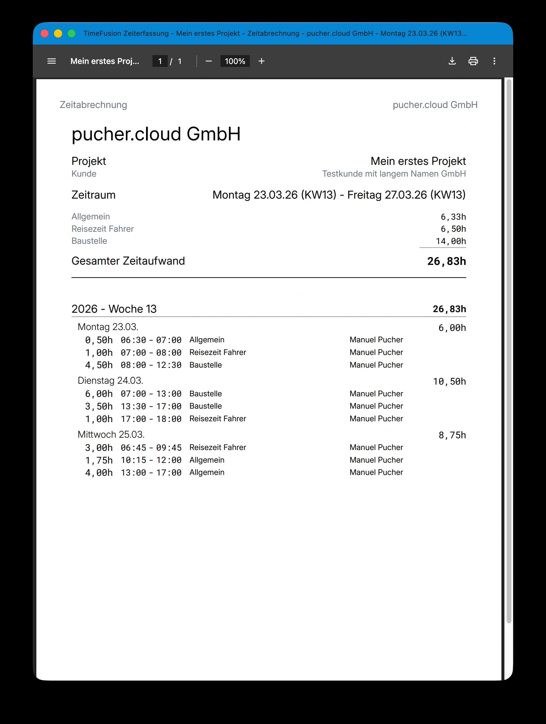 Projektbericht als PDF